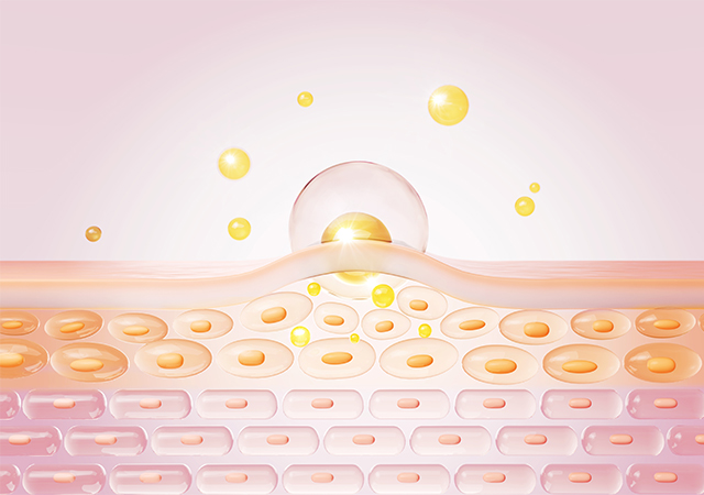 細胞から美しくする幹細胞培養上清液イメージ